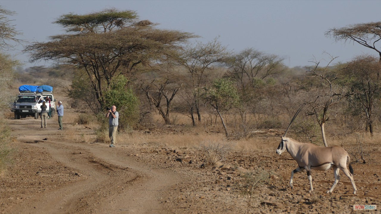 Äthiopien / Djibouti (c) Rothenwallner